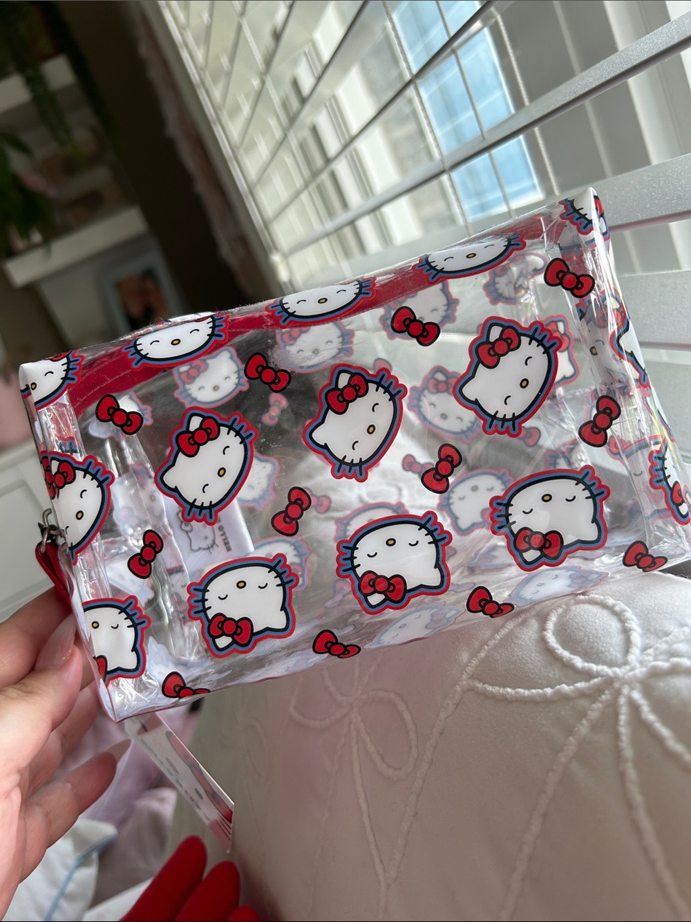 Hello kitty zip pouch/case
